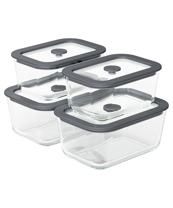 FSC4DLM1 F&P Daily Storage Containers 4-Piece Set