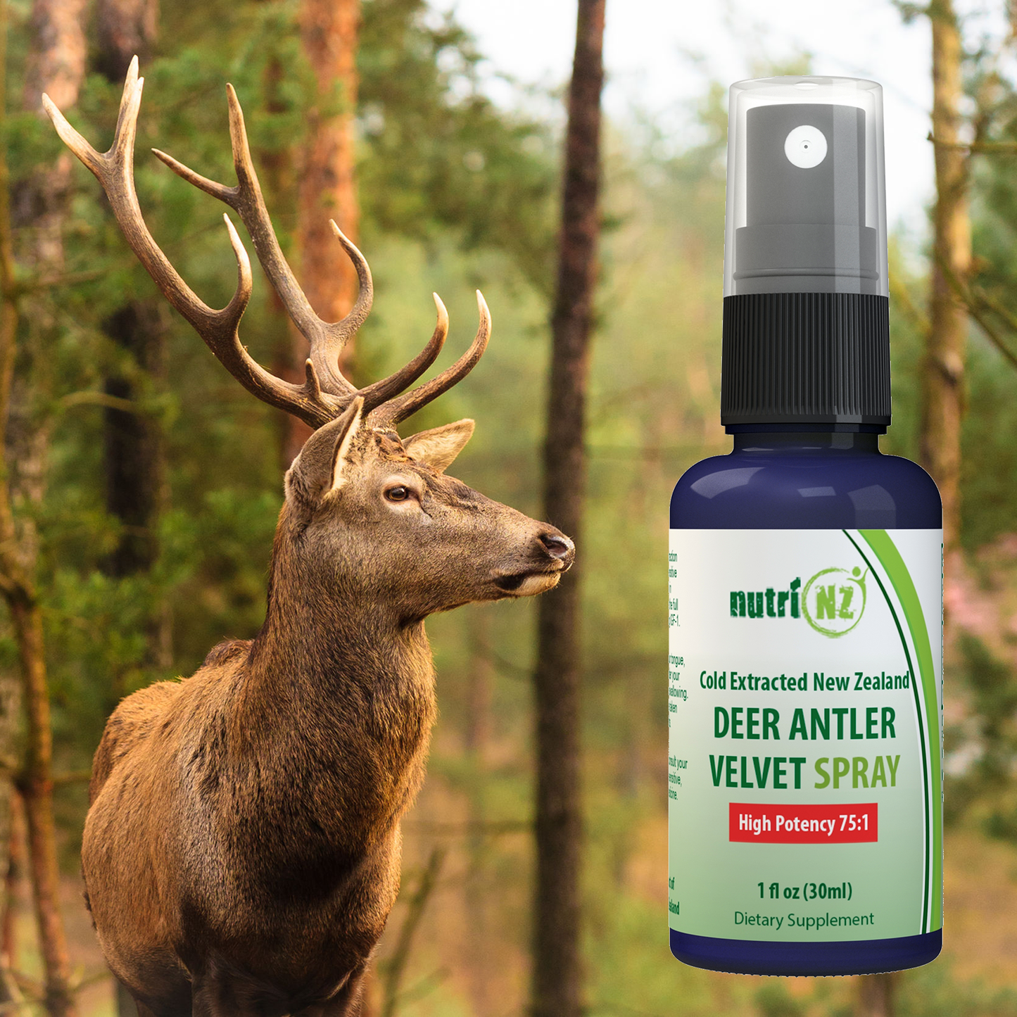 Deer Antler Velvet Spray - 30 ml High Potency Spray (95 Servings)