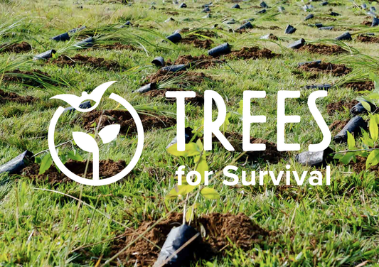 Would you like to donate to Trees for Survival?